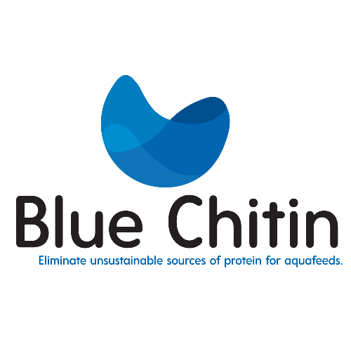 Blue Chitin