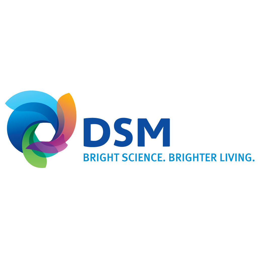 DSM N.V.